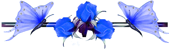 papillon-bleu.gif